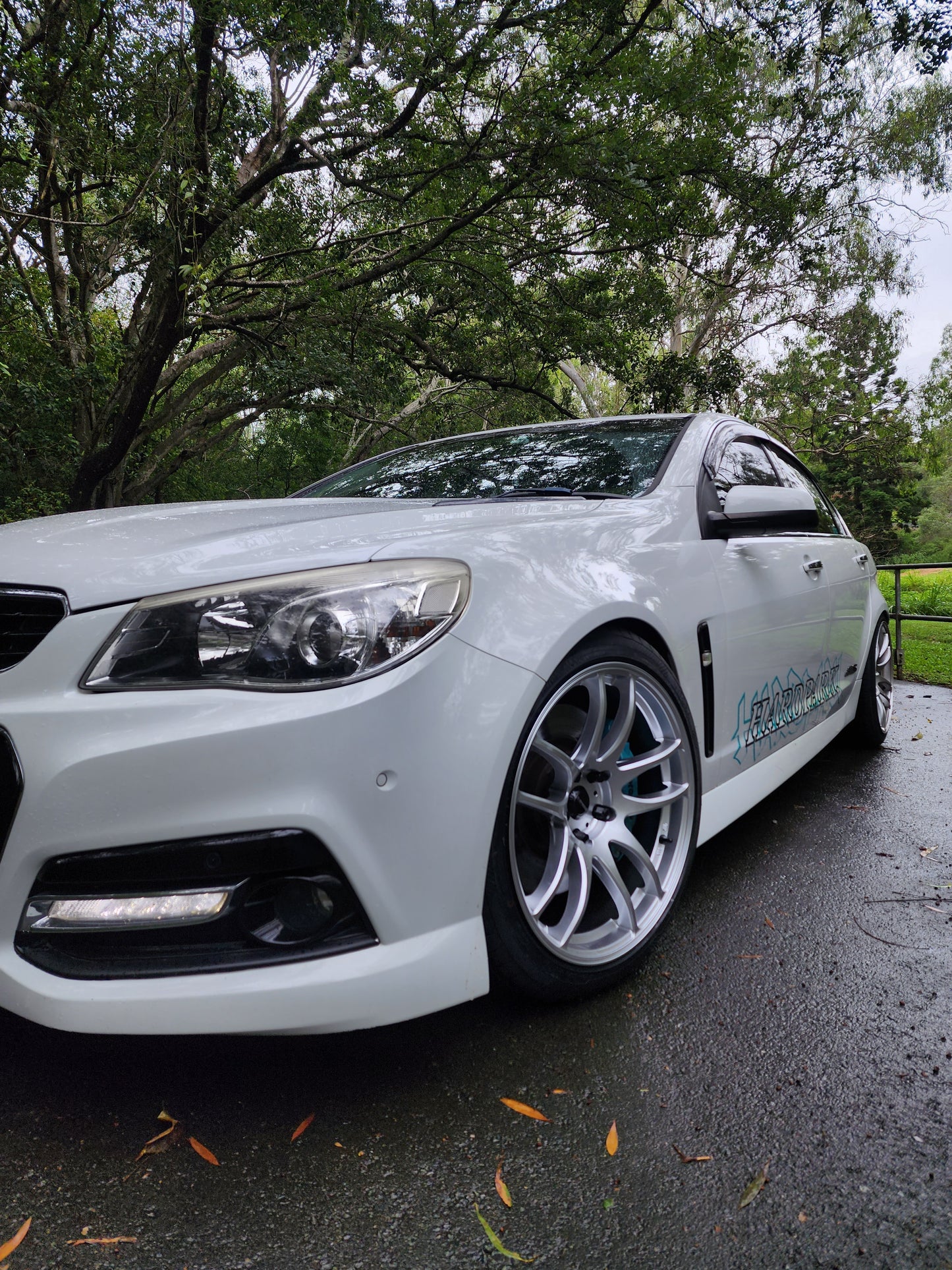 Holden VF Commodore Redline - D-Speed DS-02 19x9.5 +25