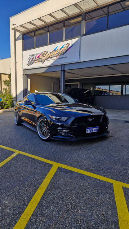 Ford Mustang GT- D-Speed DS-09 19x9.5 +22